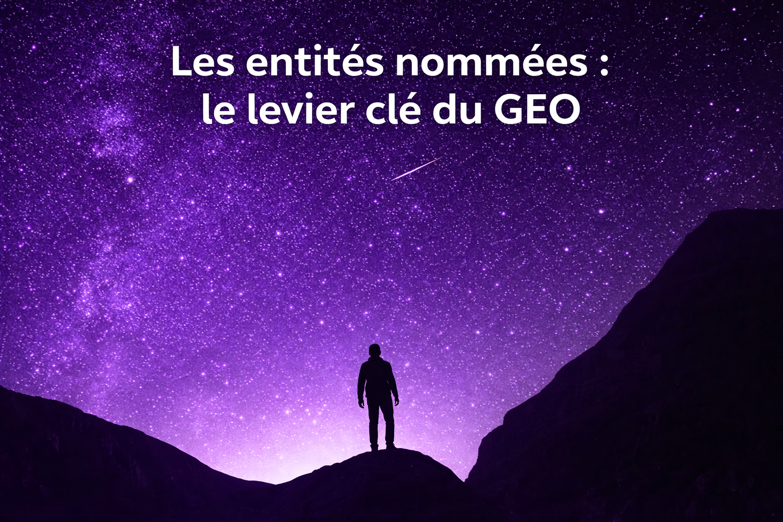 Generative Engine Optimization